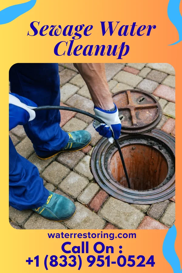 Sewage Water Cleanup in Solana, FL